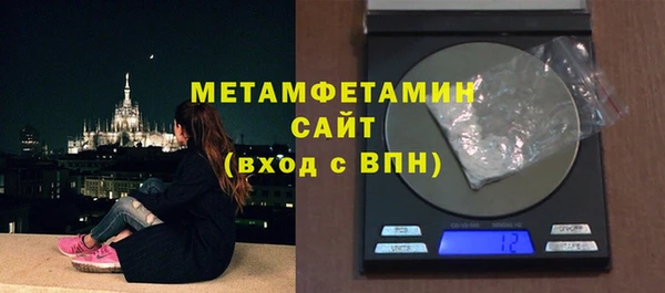 шишки Надым