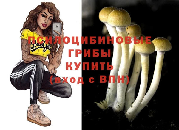 соль курить ск Нея