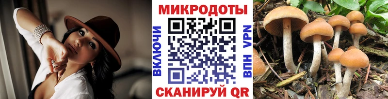 сколько стоит ссылка на мегу ссылки Галлюциногенные грибы MAGIC MUSHROOMS Павловская